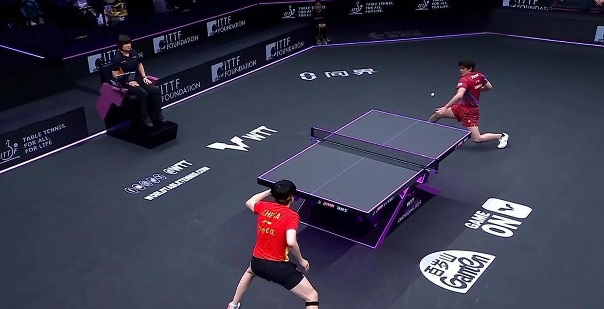 法国队横扫德国队，张本智和状态火热的简单介绍