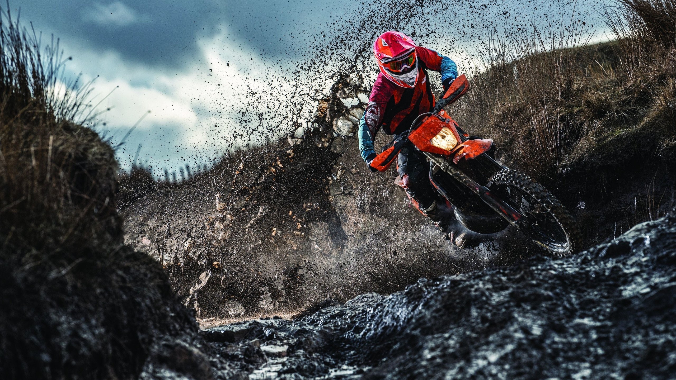 佩德里魔法,当阿尔及利亚的智慧遇上比利时的铁壁